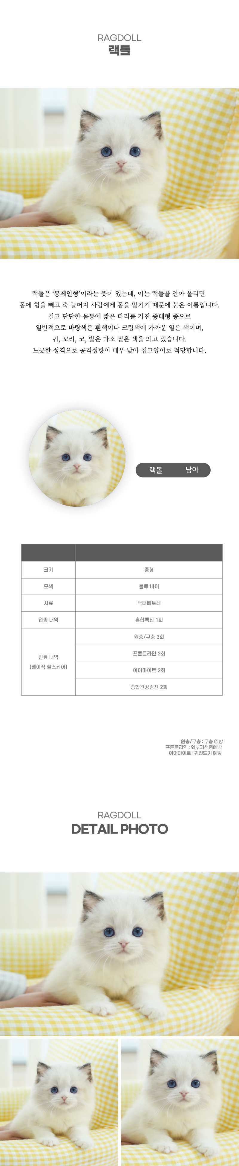 랙돌_상세이미지_2